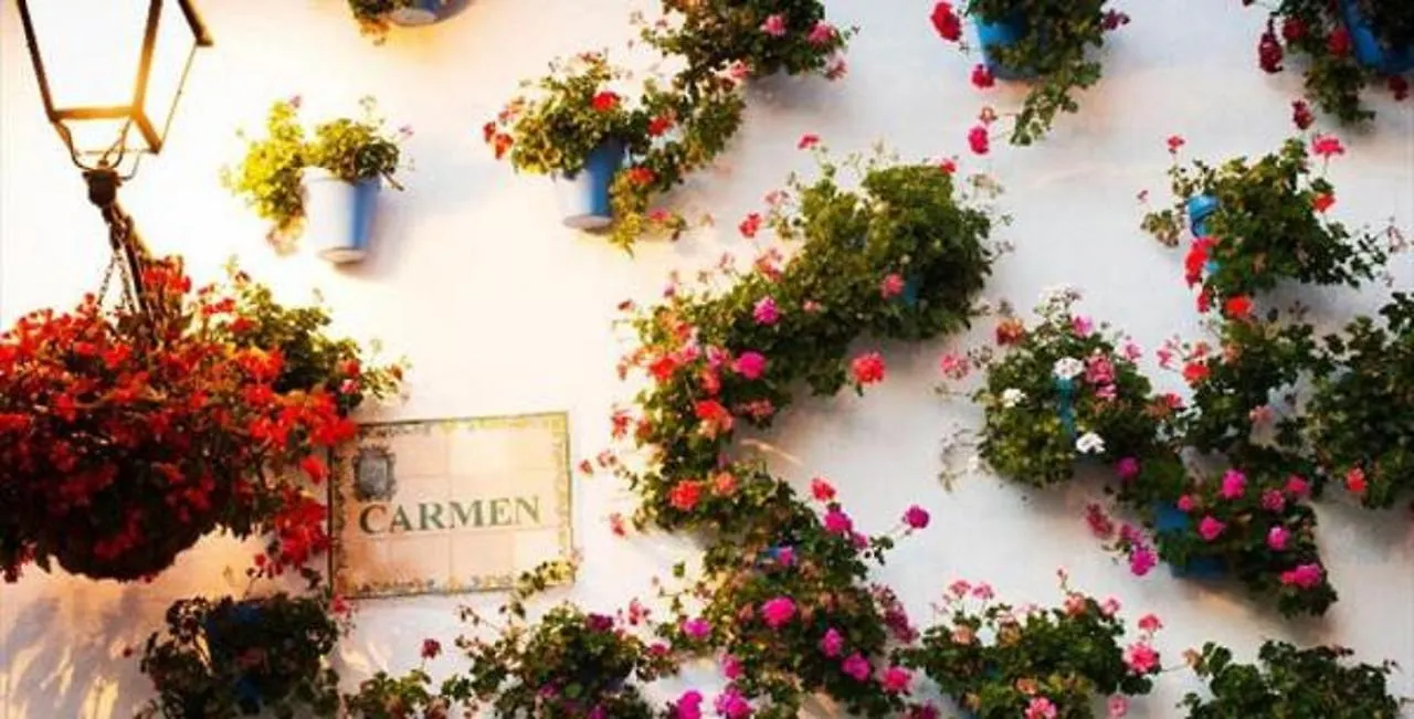 Affittacamere Hotel H Juan Marbella