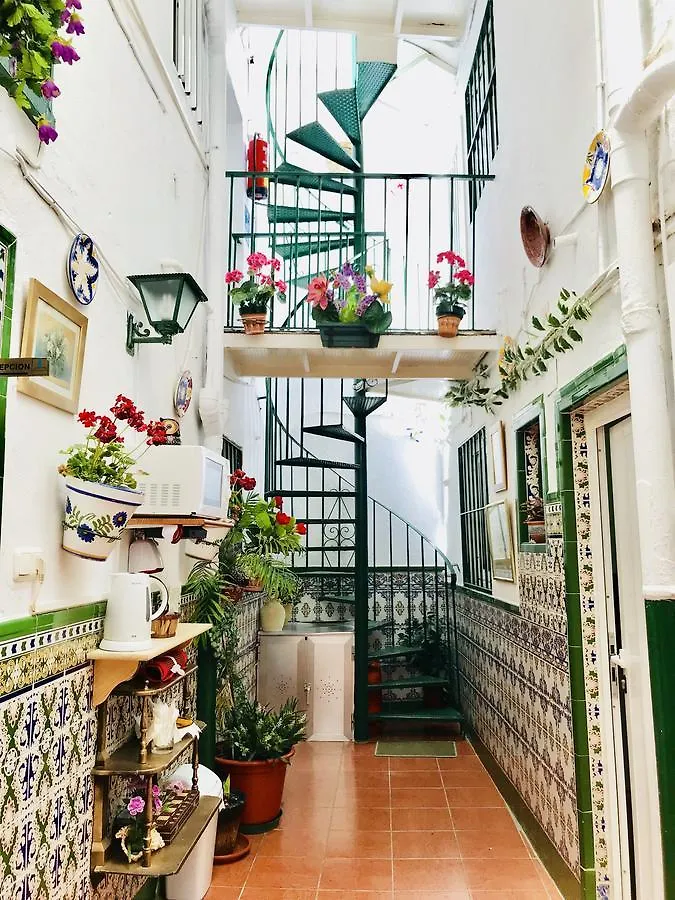 ** Affittacamere Hotel H Juan Marbella Spagna
