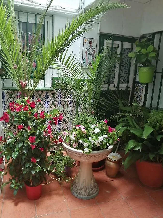 Affittacamere Hotel H Juan Marbella