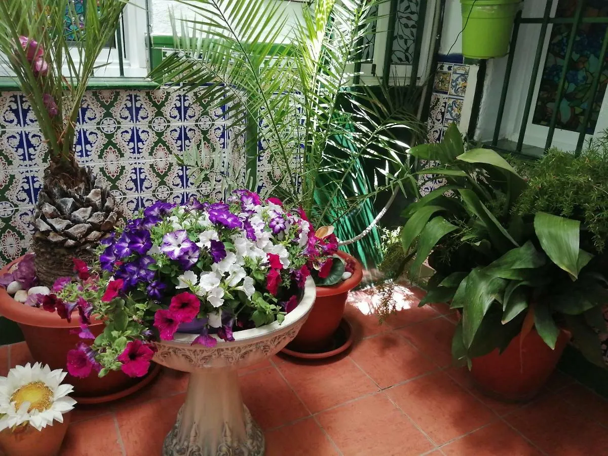 H Juan Hotel Marbella Guest house